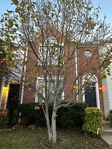 15529 Port Washington Ct Photo 1