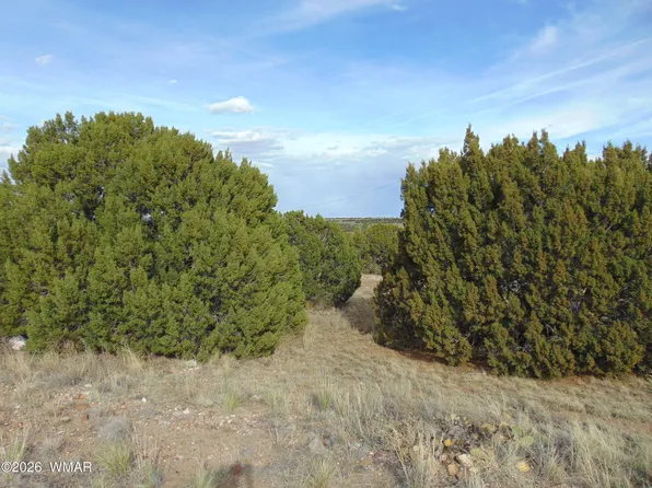46 Crest Ln, Concho, AZ 85924