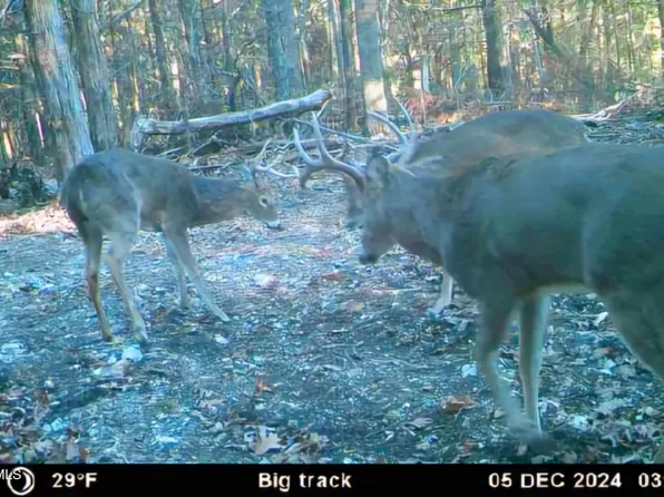 5 State Aa Rd, Roach, MO 65787