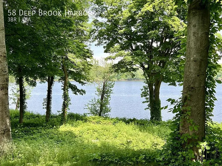 58 Deep Brook Hbr — Photo 31
