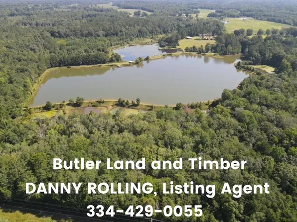 258 Ponderosa Rd, Greenville, AL 36037