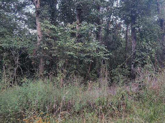 5th image of 0 Woodhaven Dr #206