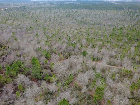 5th image of 0 Whitaker Rd