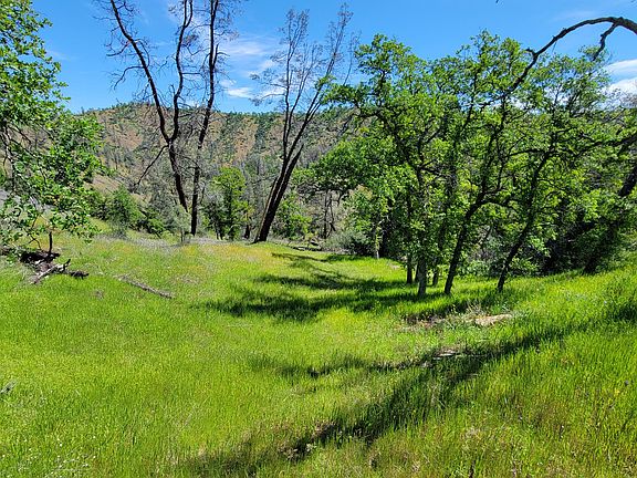 5th image of 266 Cottonwood Creek Rd