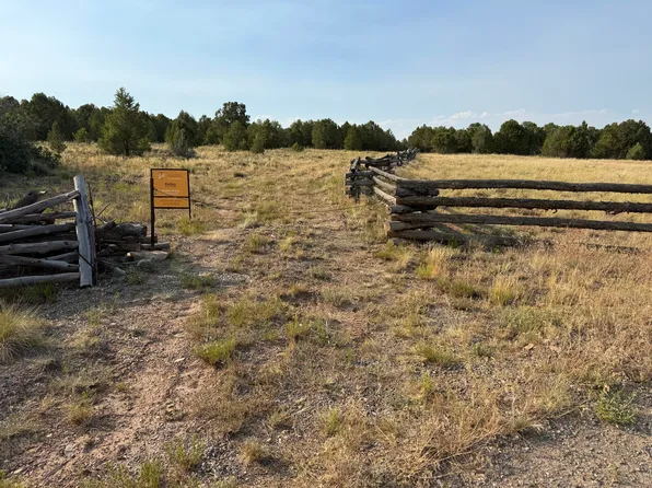 Tbd Ponderosa Dr, Ridgway, CO 81432