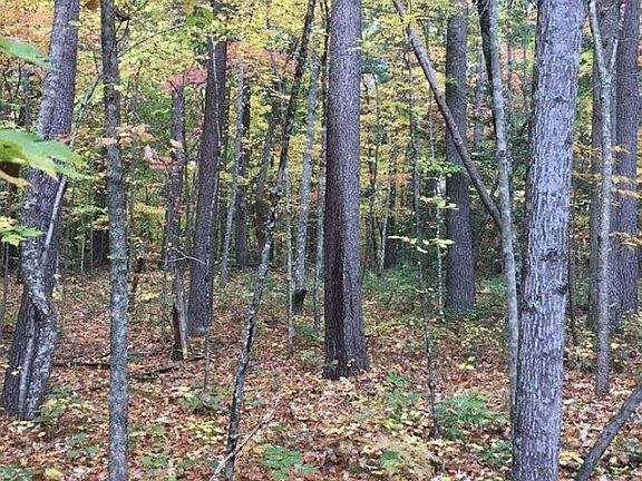 5th image of 359 White Creek Ct