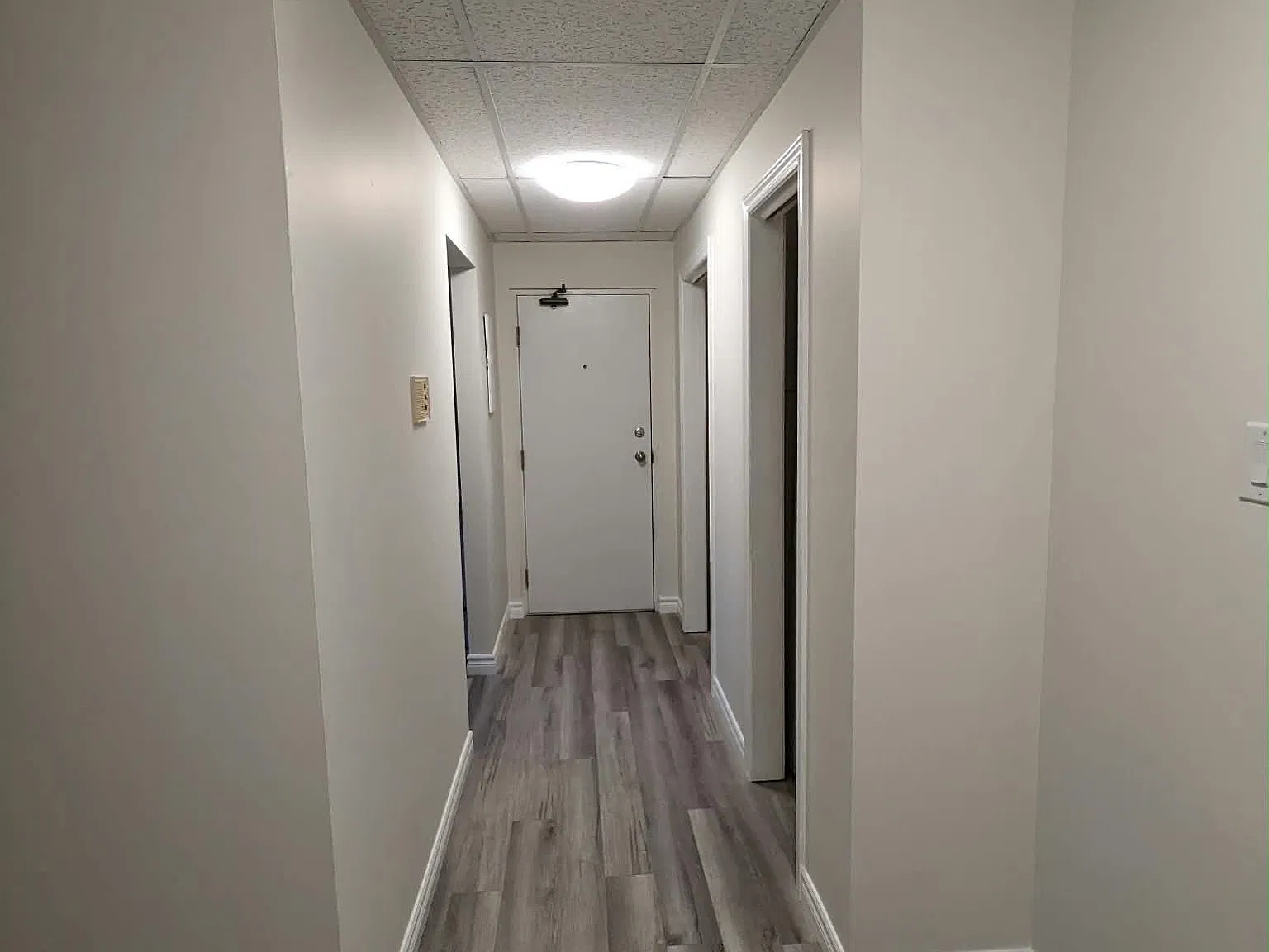 1 bed, $1,250 — Photo 2