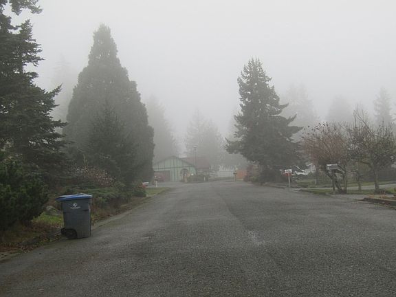 5th image of 226 Dogwood Pl