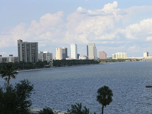 DOWNTOWN TAMPA VIEWS