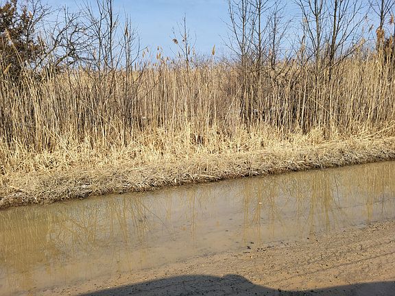 2nd image of 0 Carleton West Rd