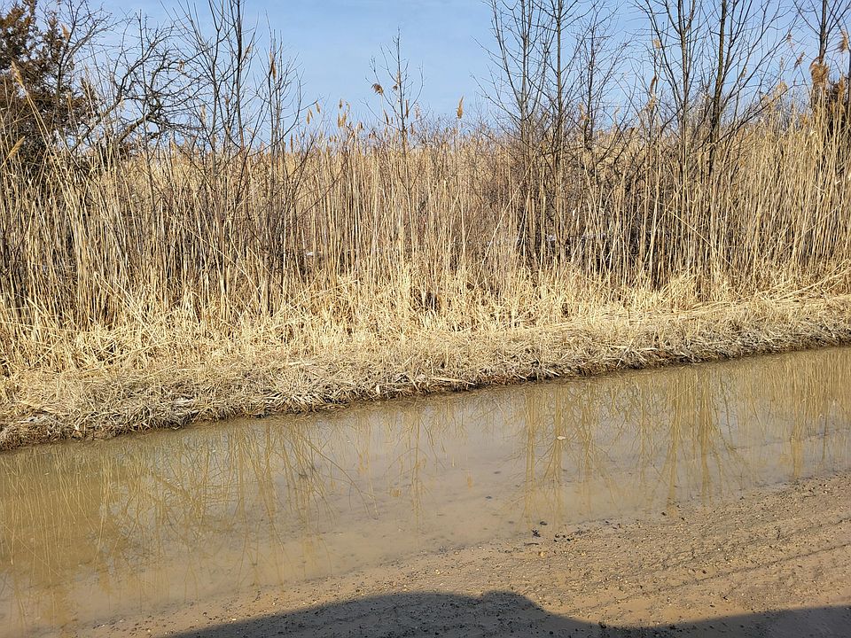2nd image of 0 Carleton West Rd