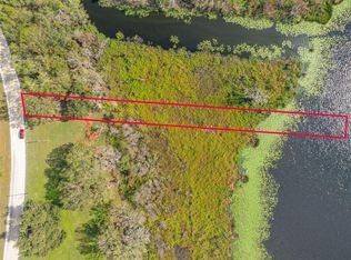 0 McKendree Rd, Wesley Chapel, FL 33545