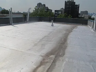 Rented by P Management