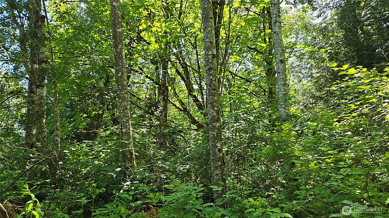2nd image of 3628 Creek View Court SE