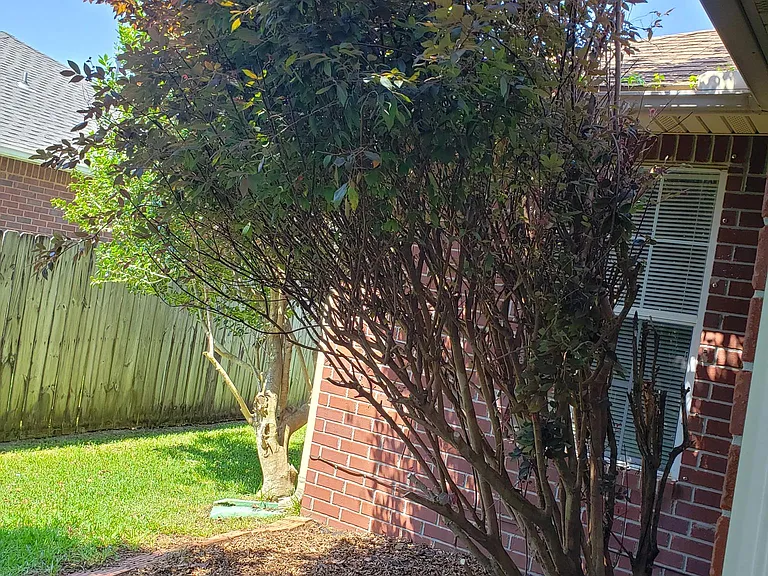 5018 Audrey Sue Cir — Photo 53