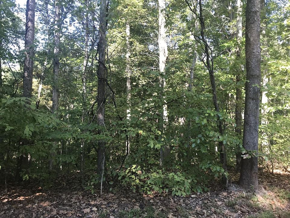 2nd image of 0 Towee Ct Lot 102