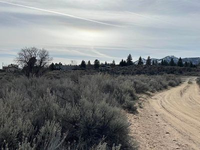 462-950 Jace Dr, Janesville, CA, 96114