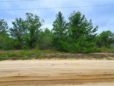 5391 W Osmond Ln, Dunnellon, FL, 34433