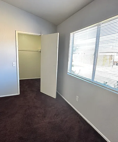 3735 Hollowglen Dr — Photo 19