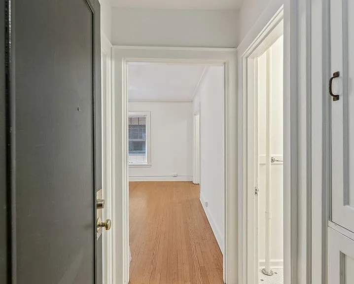 Discover Downtown Living at Chasselton Apartments — Photo 4