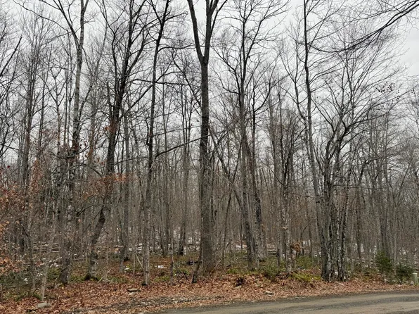 Lot 104 Hornbeam Ridge Road, Dexter, ME 04930