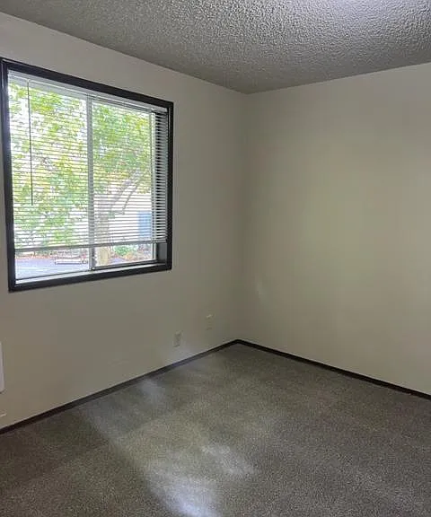 12265 SW Hall Blvd — Photo 8