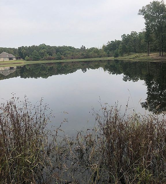 Peaceful  front property