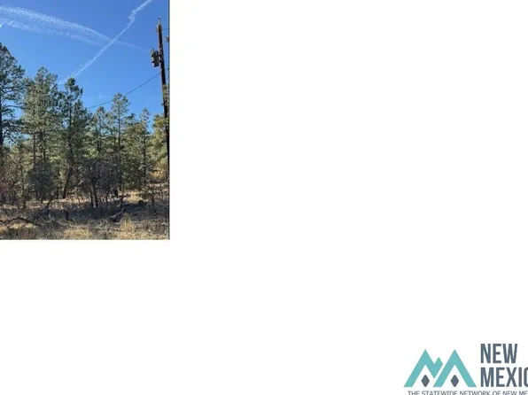 Laguna Vista Dr, Los Ojos, NM 87551