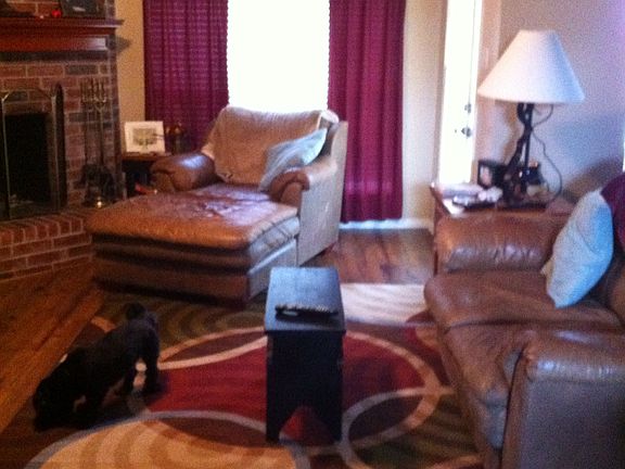 Living room new floors 