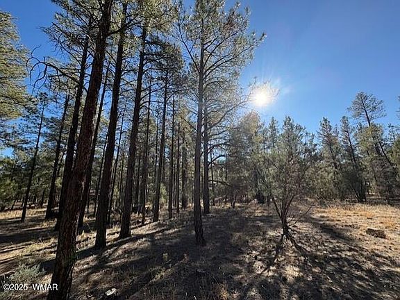 2nd image of 3270 W Black Oak Loop