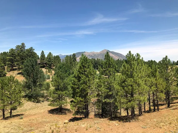 817 N Amberwood St, Flagstaff, AZ 86004