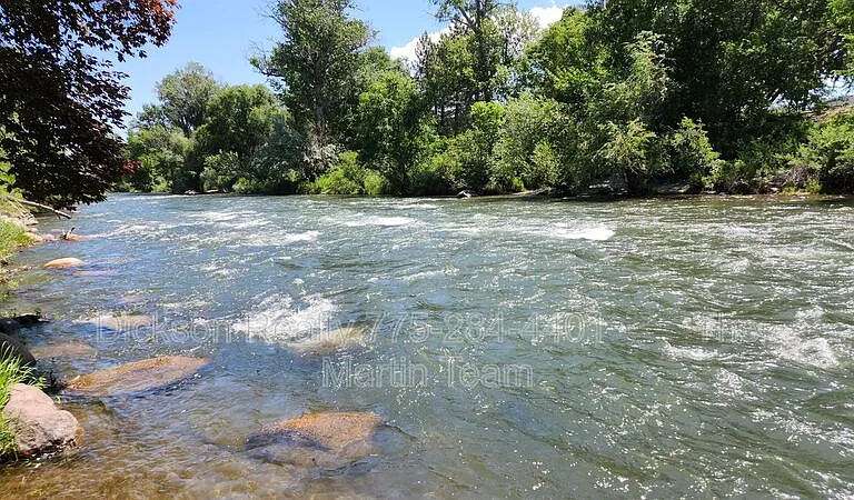 2300 Dickerson Rd #16 — Photo 18