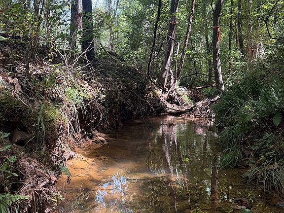 3rd image of County Road 3439