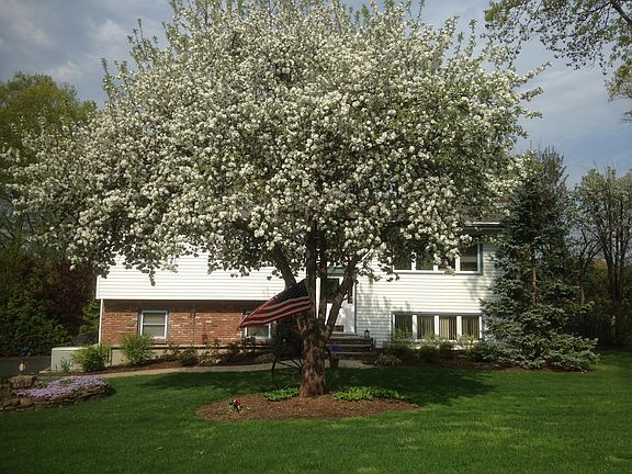 2nd image of 39 Beechwood Dr