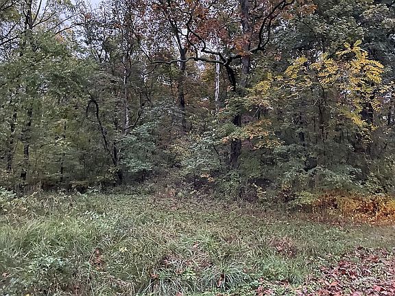 3rd image of 12174 Meyers Point Dr