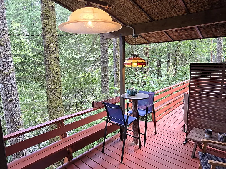 30505 NE Olson Rd — Photo 39
