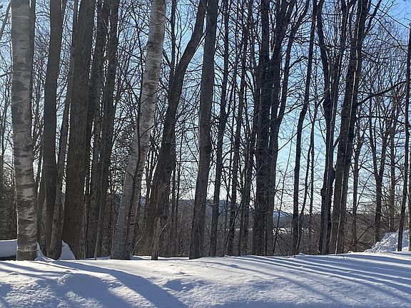 5th image of 15 Colebrook River Rd