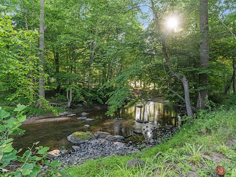 341 Crum Creek Ln — Photo 42