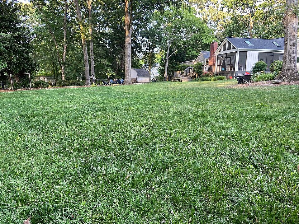 Back yard