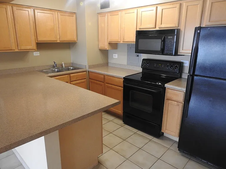 6030 N Sheridan Rd #1310 — Photo 14