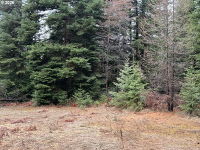 0 Highway 204, Weston, OR, 97886