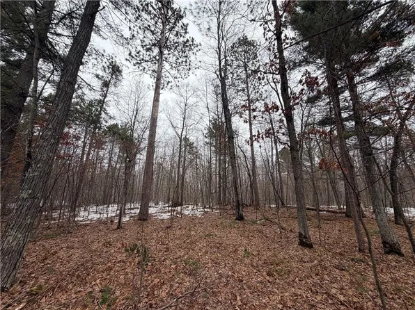 00000 Cty Rd H, Danbury, WI 54830