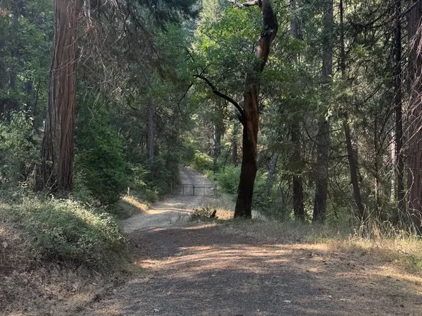 4920 Arctic Ln, Grizzly Flats, CA 95636