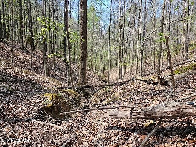 1st image of Benton Tidwell Rd