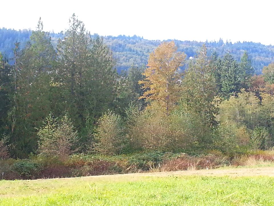 1st image of 24394 Nookachamp Hills Dr