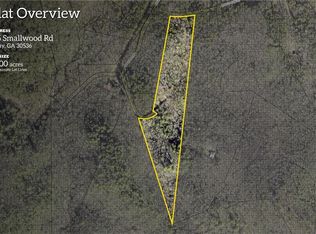 225 Smallwood Rd, Ellijay, GA 30536