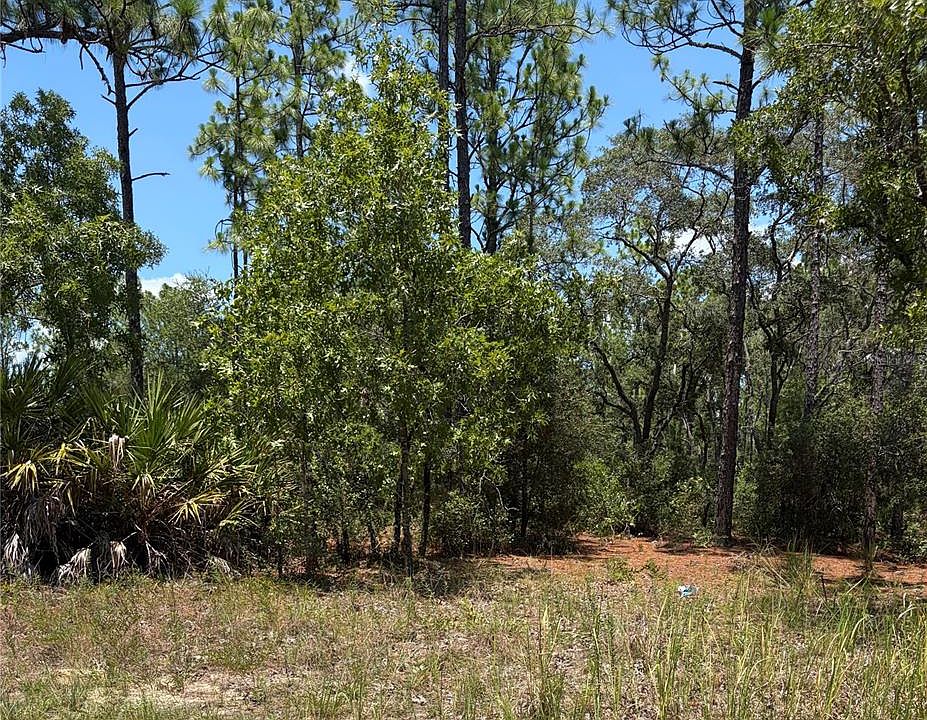 2nd image of 3711 W NORWICK PLACE LOT 2