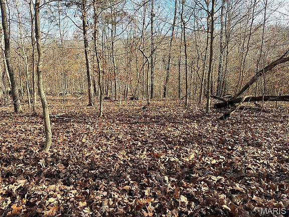 4th image of 0 Haverstick School Rd