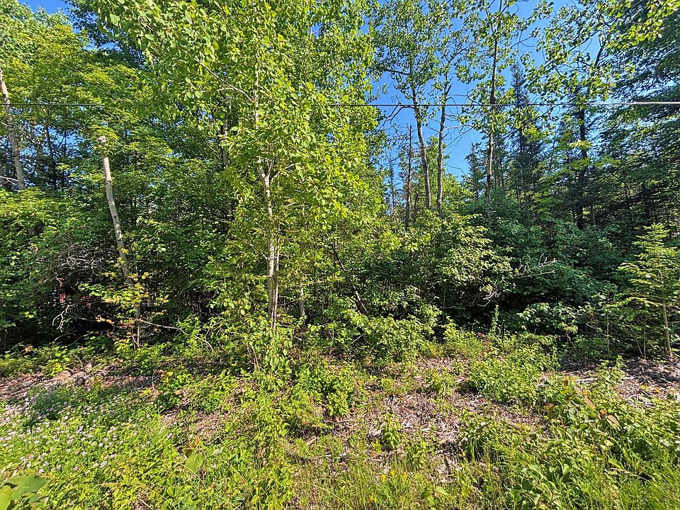 1st image of V/l Pineview Dr