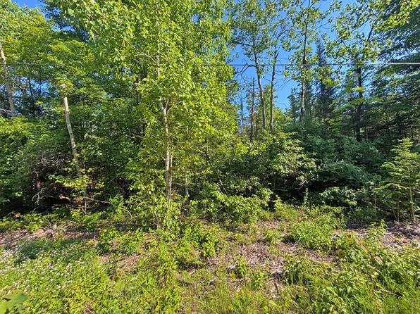 V/l Pineview Dr, Presque Isle, MI 49777